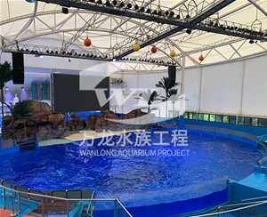 大型魚缸的維護操作是什么