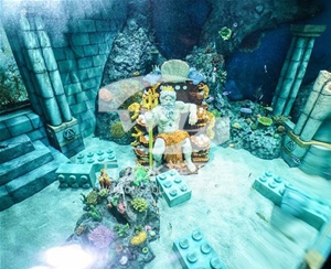 三步制作亞克力觀賞魚缸